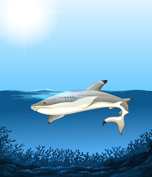 Tiburón nadando bajo el océano — Vector de stock