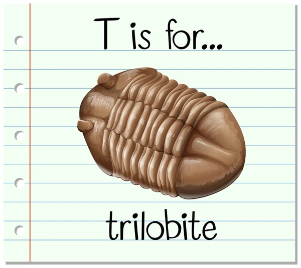 Tanulókártya ábécé T az trilobiták — Stock Vector