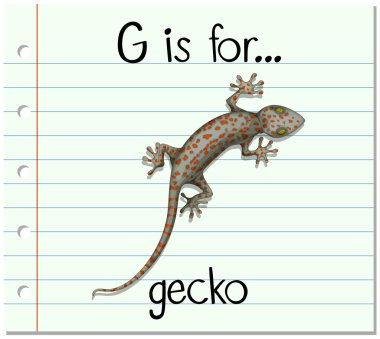 Flashcard G için gecko harftir
