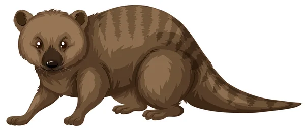 茶色の毛皮を持つ野生動物 — ストックベクタ