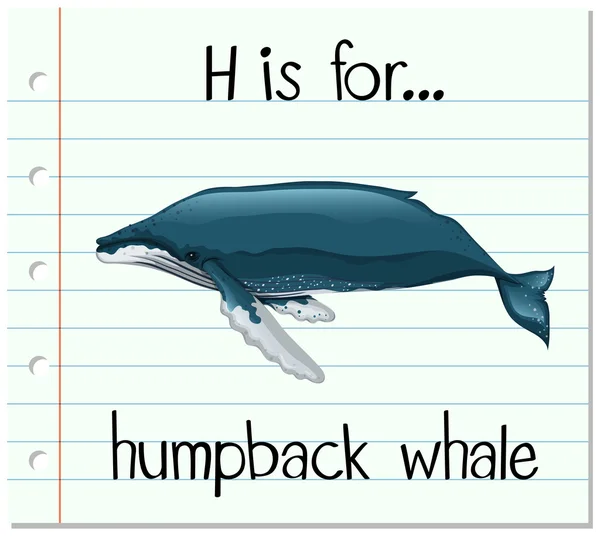 Flashcard letra H es para ballena jorobada — Archivo Imágenes Vectoriales