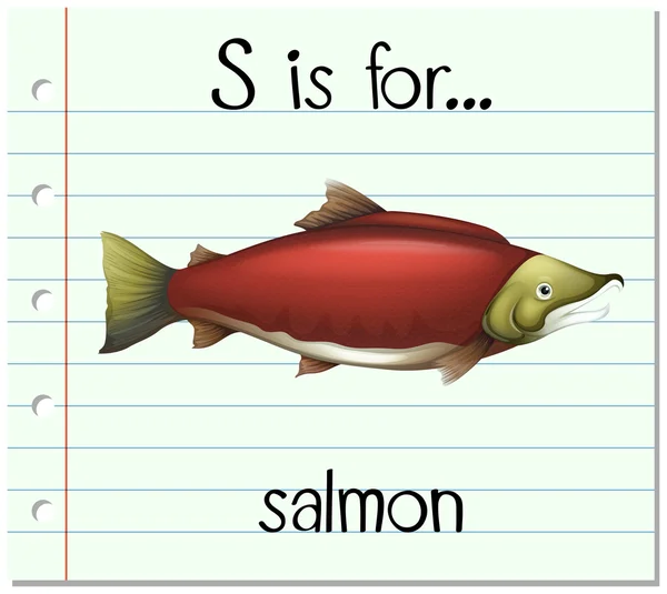 Flashcard lettre S est pour le saumon — Image vectorielle