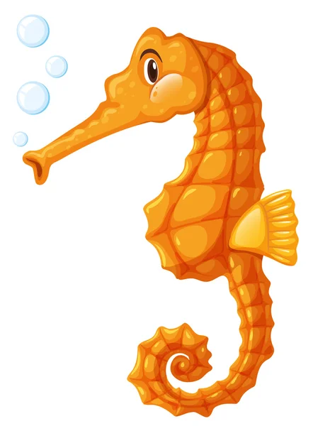 Seahorse σε πορτοκαλί χρώμα — Διανυσματικό Αρχείο