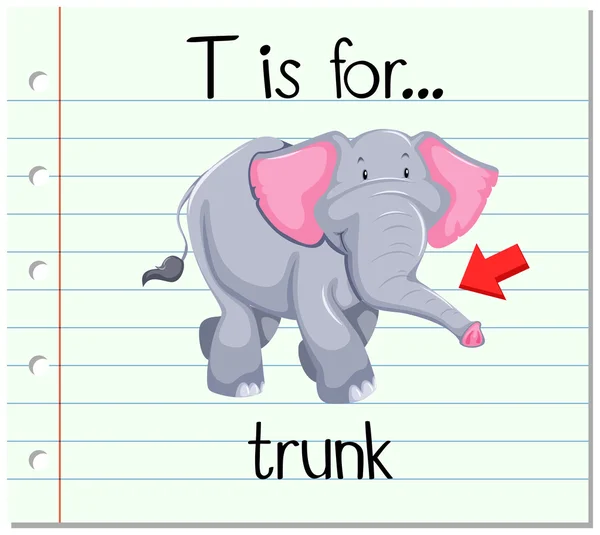 Flashcard letter T is voor trunk — Stockvector
