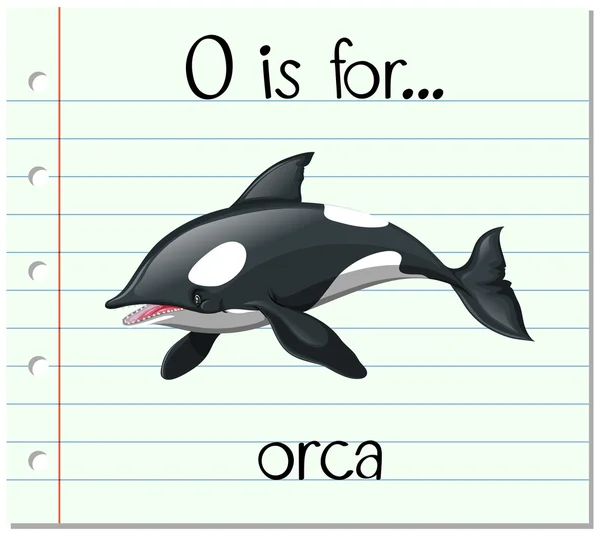 Flashcard letter O is for orca — Stock Vector