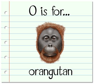 O flashcard harfi için orangutandı