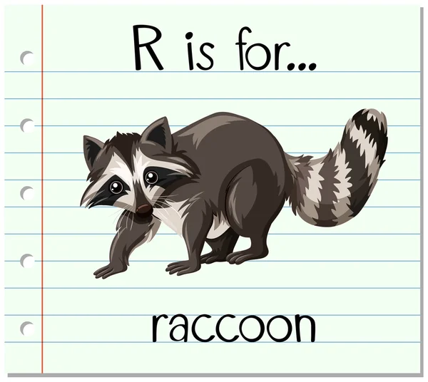 Flashcard letra R es para mapache — Vector de stock