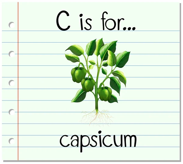 Flashcard letter C is for capsicum — Stock Vector