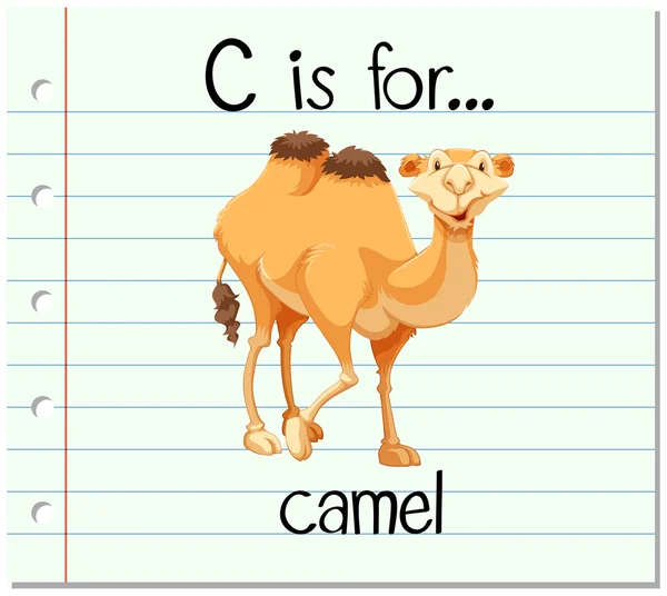 Flashcard lettre C est pour chameau — Image vectorielle