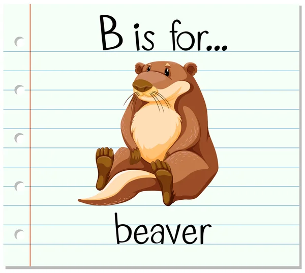Flashcard brief b is voor beaver — Stockvector