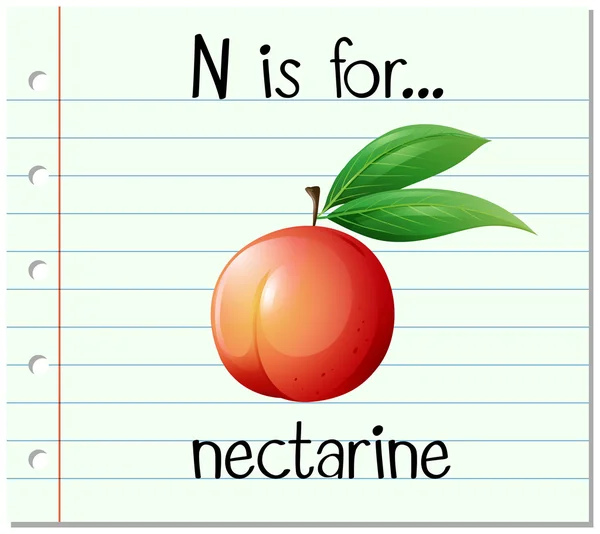 Flashcard bokstaven n är för nektarin — Stock vektor