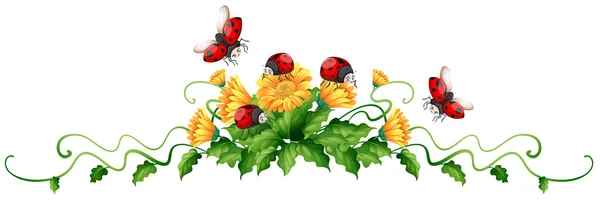 Ladybugs and yellow flowers — Stock Vector