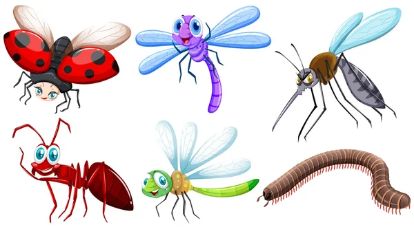 Diferentes tipos de insetos — Vetor de Stock