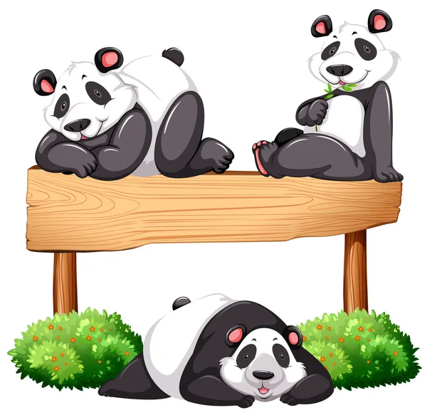 Três pandas e sinal de madeira — Vetor de Stock