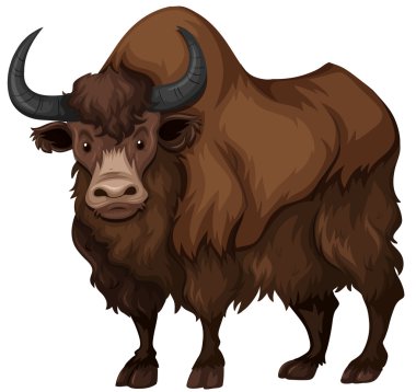 Kahverengi kürklü buffalo