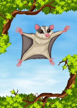 Ağaç üzerinde uçan şeker planör