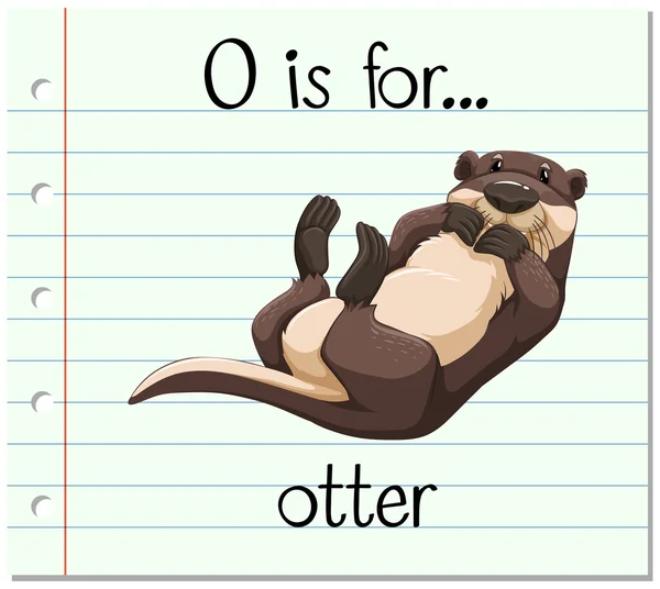 Flashcard letter O is voor otter — Stockvector