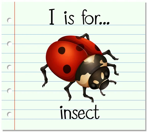 Flashcard brief ik is voor insect — Stockvector