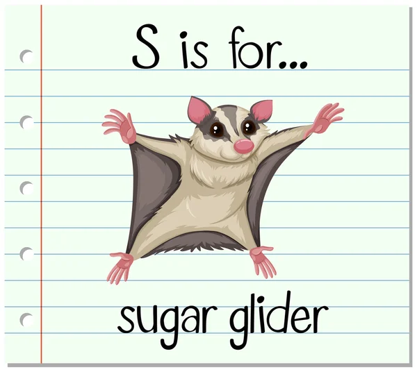 Huruf Flashcard S adalah untuk gula glider - Stok Vektor