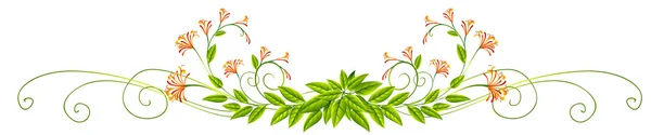 Pflanzendesign mit Blättern und Blüten — Stockvektor