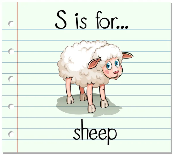 Flashcard letter S is for sheep — Stock Vector