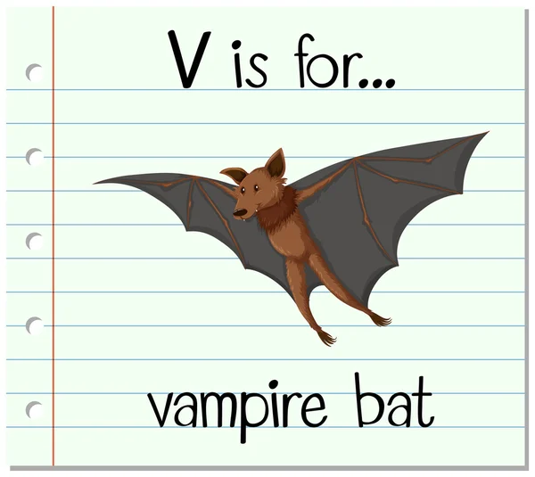 Flashcard letter V is for vampire bat — Stock Vector
