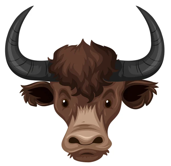 Buffalo hoofd op witte achtergrond — Stockvector