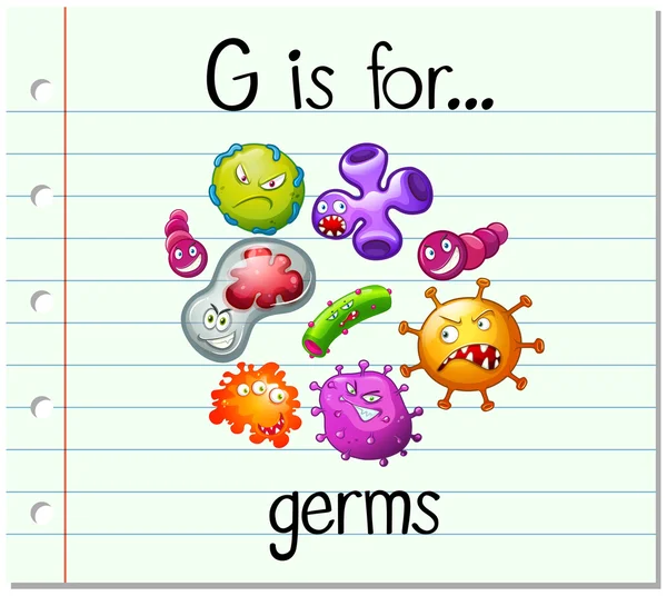 Flashcard bokstaven G är för bakterier — Stock vektor