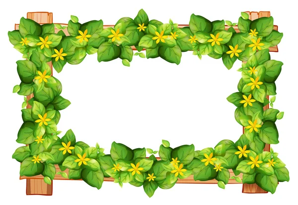 Σχέδιο πλαισίων με φύλλα και το λουλούδι — Διανυσματικό Αρχείο