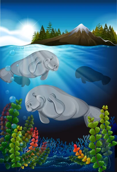 Морские коровы, плавающие под водой — стоковый вектор