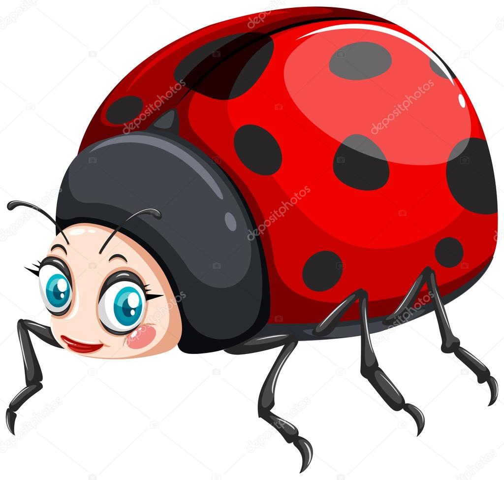 幸福的脸的瓢虫图库矢量图©blueringmedia 109819636, image size:1024x975