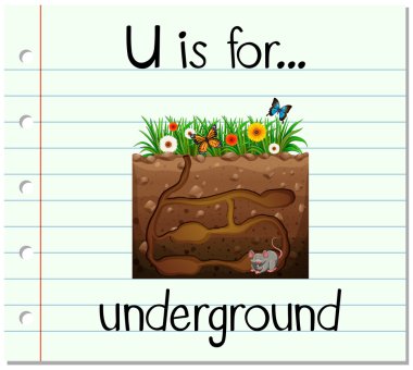Flashcard U yeraltı harftir