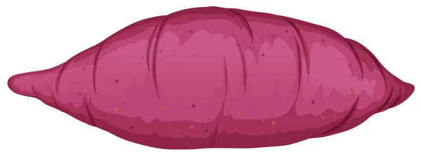 Patata dulce al horno sobre fondo blanco — Vector de stock