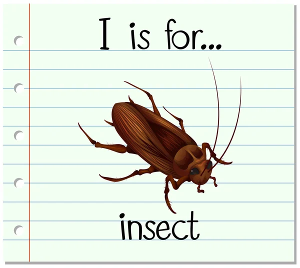 Flashcard brief ik is voor insect — Stockvector