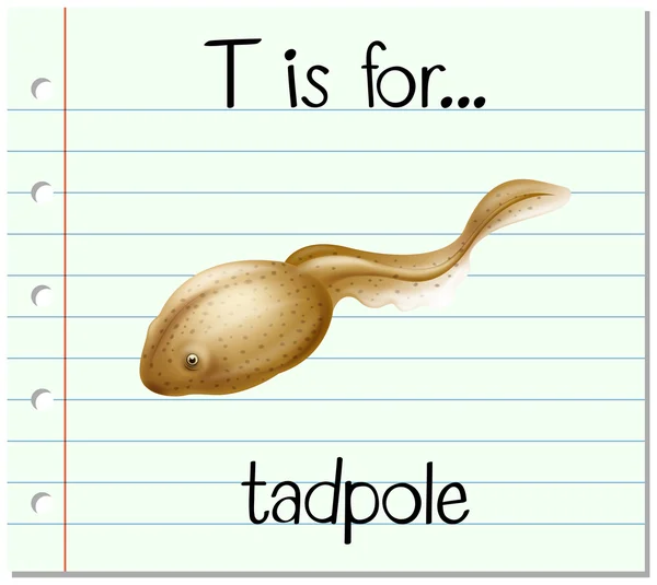 Flashcard lettre T est pour têtard — Image vectorielle