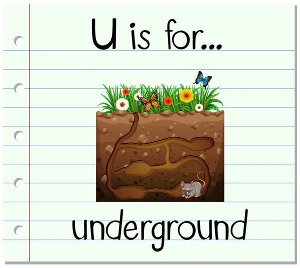 Flashcard bokstaven U är för underground — Stock vektor