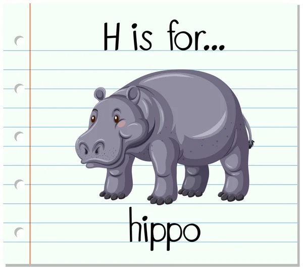 Flashcard lettre H est pour hippopotame — Image vectorielle