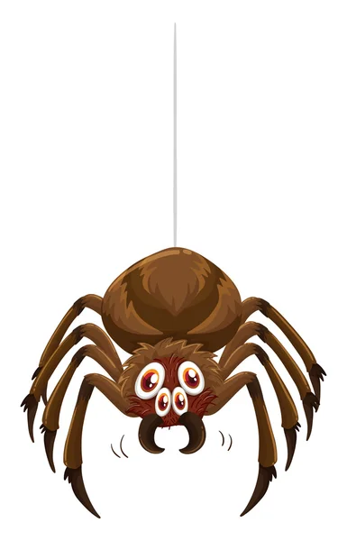 Wild edderkop og web – Stock-vektor