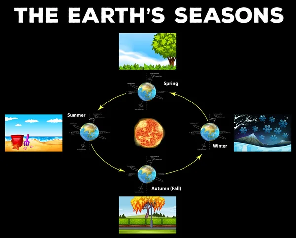 Diagramme montrant les saisons sur Terre — Image vectorielle