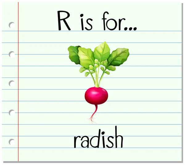 Flashcard γράμμα R είναι για ραπανάκι — Διανυσματικό Αρχείο