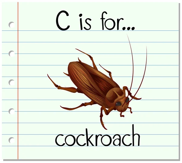 Karteikartenbuchstabe c ist für Kakerlake — Stockvektor