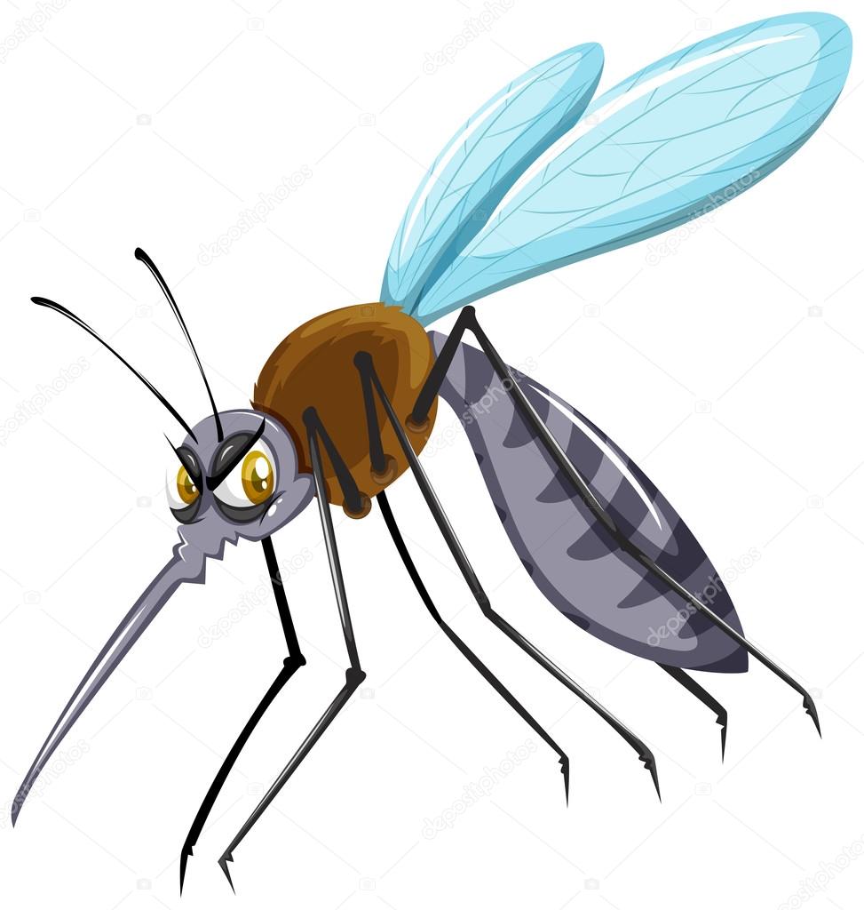 Αποτέλεσμα εικόνας για κουνούπι clipart