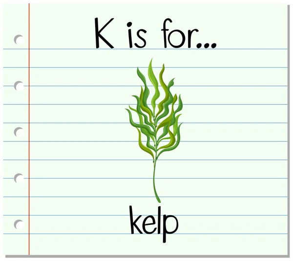 Flashcard letter K is voor kelp — Stockvector