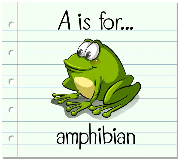 Flashcard lettre A est pour amphibien — Image vectorielle