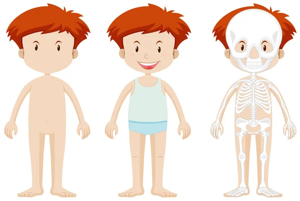 Μικρό αγόρι και σκελετό structor — Διανυσματικό Αρχείο