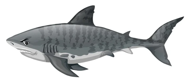 Gray shark looking angry — Stock Vector