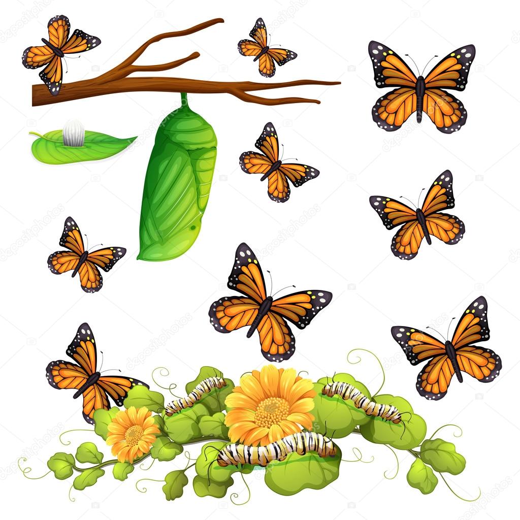 My Image 9