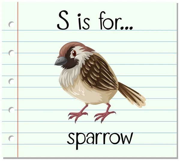 Kartičky dopis S je pro vrabce — Stockový vektor