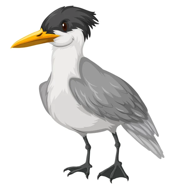 Wild bird with grey feather — Stock Vector