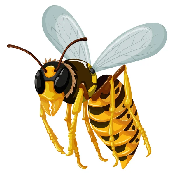 白い背景の上を飛んで単一のスズメバチ — ストックベクタ